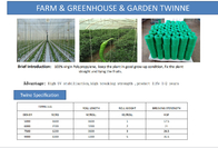 UV Resistance Agriculture Tomato Twine 1800mts/Kg 3600mts/Kg 4000mts/Kg