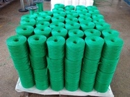 Non Stretch Solid and Durable Tomato Twine Agriculture Plant 1200m/kg 1800m/kg