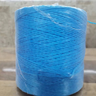 3-5kgs/Spool Polypropylene Plastic Raffia Twisted Tomato Twine For Agriculture